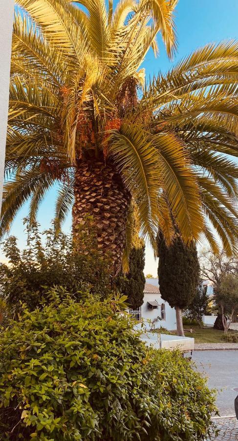Albufeira Praia Sao Rafael Sun Apartment エクステリア 写真